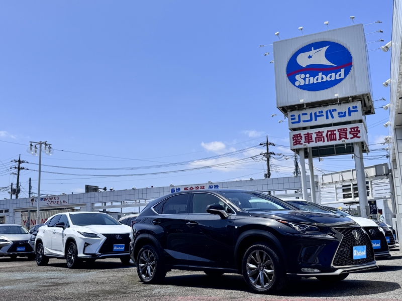 シンドバッド レクサス専門店